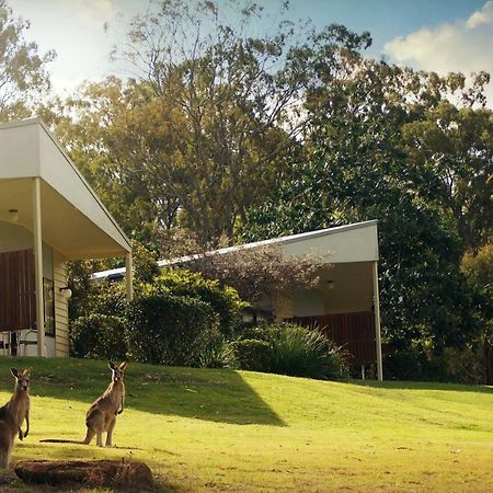 Boonah Valley Motel エクステリア 写真